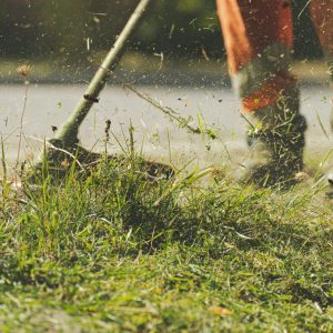Tom's Gardening Services - Grass Cutting