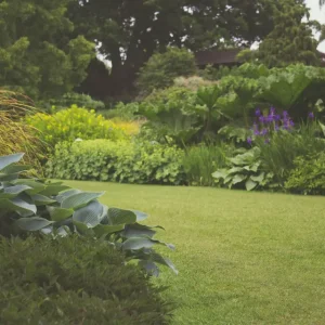 Tom's Gardening Services - Landscape Services