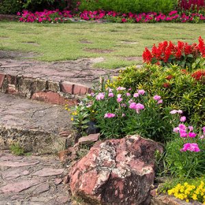 Tom's Gardening Services - Ramsbury Garden Maintenance Services