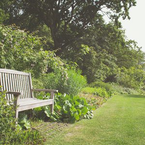 Tom's Gardening Services - Garden Maintenance