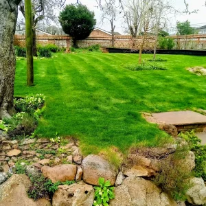 Lawn Care by Tom's Gardening Services