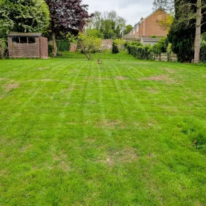 Lawn Care by Tom's Gardening Services