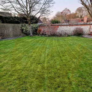 Lawn Care by Tom's Gardening Services
