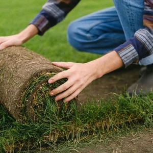 Tom's Gardening Services - Lawn Care