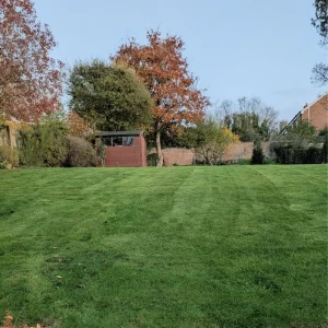 Toms Garden Services Aldbourne