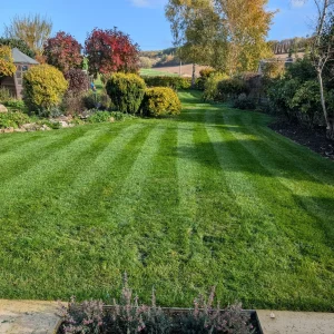 Toms Garden Services Aldbourne
