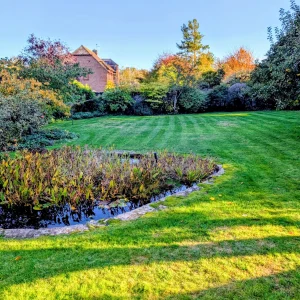 Toms Garden Services Aldbourne