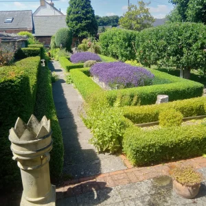 Toms Gardening Services - Ramsbury