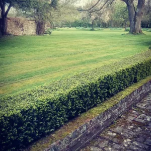 Toms Gardening Services - Ramsbury